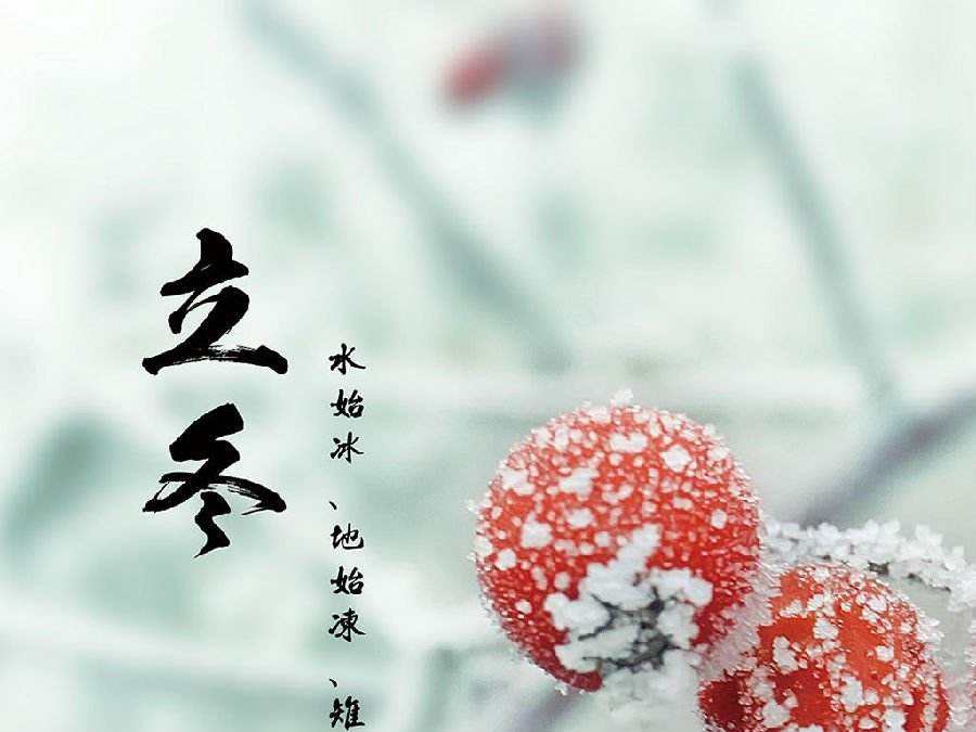 今日立冬，啟睿喊你吃餃子嘍